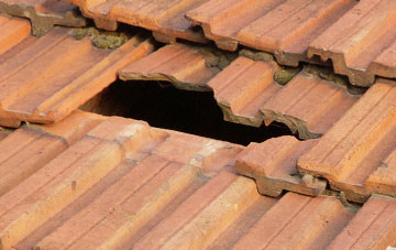 roof repair Dulford, Devon